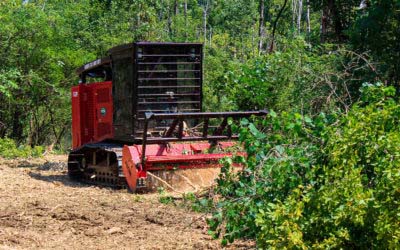 How A Family Business Chipped Away at Downtime With A Purpose-Built Fecon Mulching Tractor