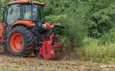 The Top Benefits of Forestry Mulching