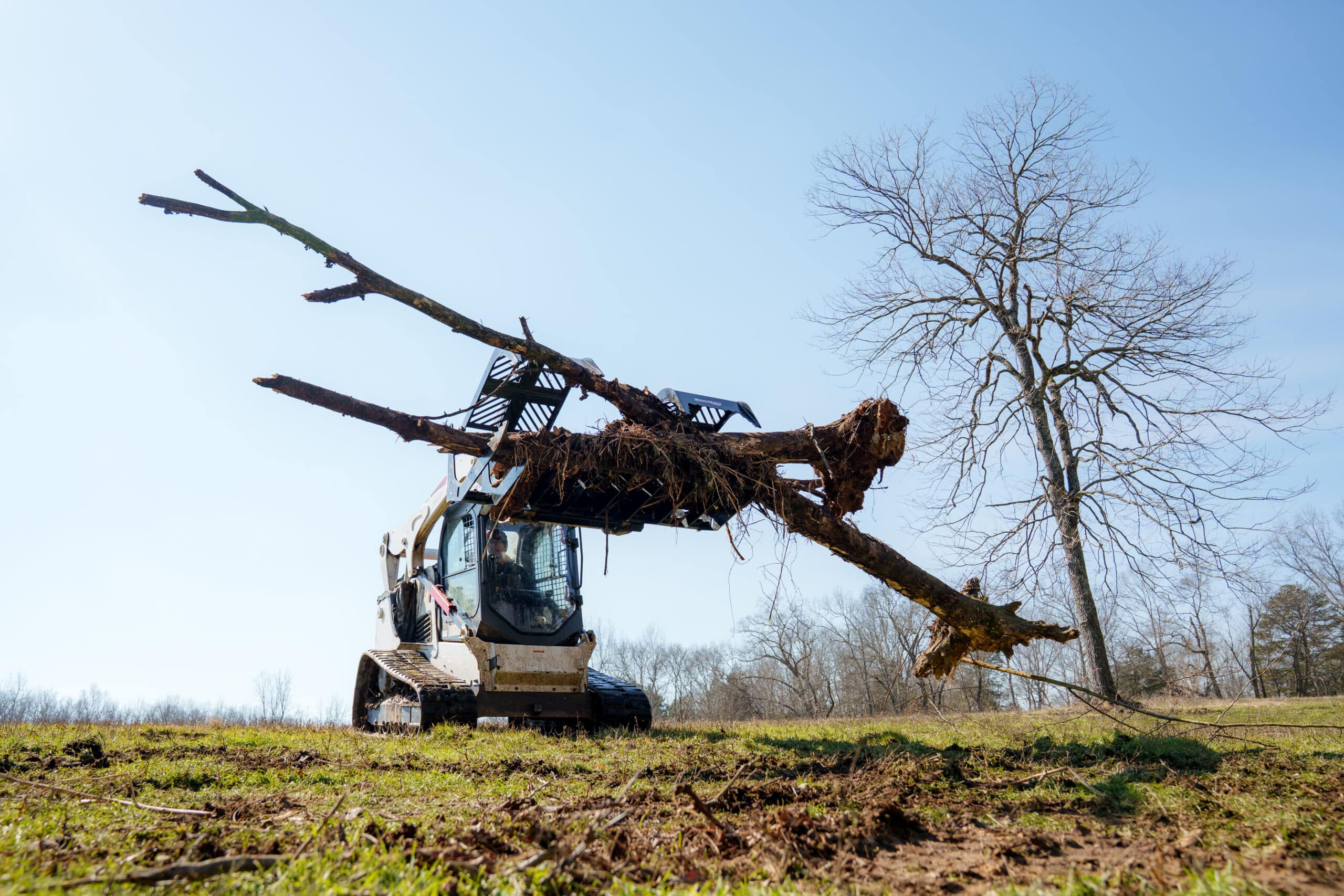 Open-tine brush grapple showing long serrated tines and skid steer mount